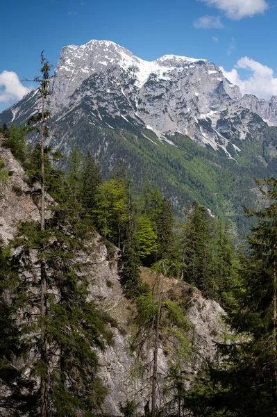 夏天阳光灿烂的一天 在阿德蒙特附近的奥地利阿尔卑斯山 Gesaeuse国家公园 — 图库照片