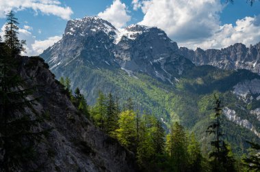 Avusturya Alpleri Admont yakınlarında güneşli bir yaz gününde, ulusal park Gesaeuse