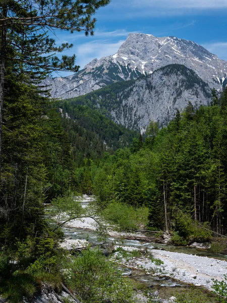 Oostenrijkse Alpen Buurt Van Admont Een Zonnige Dag Zomer Nationaal — Stockfoto