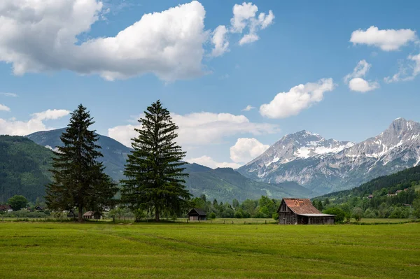 夏天阳光灿烂的一天 在阿德蒙特附近的奥地利阿尔卑斯山畔 国家公园Gesaeuse 黄花绿茵的草地 — 图库照片