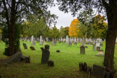 Viyana, Avusturya - 25 Ekim 2025: Bulutlu bir günde sonbahar yeşillikleriyle Merkez Mezarlığı 'nda Yahudi mezarları