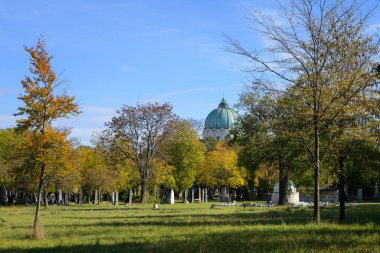 Viyana, Avusturya - 25 Ekim 2025: Viyana 'nın Zentralfriedhof Viyana Kilisesi arka planda sonbahar yeşillikleri güneşli mevsim