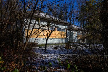 Schrems, Avusturya - 23 Kasım 2024: Eski anaokulu pencereleri güneşli kış ışığı altında ele geçirilen çalıların arkasında tahtayla kaplanmış.