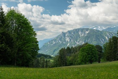Avusturya 'nın Breitenstein şehrinde ağaçlar ve dağlarla çevrili bir çayır, baharda bulutlarla kaplanmış, doğal dağlık manzarayı gösteren bir çayır..
