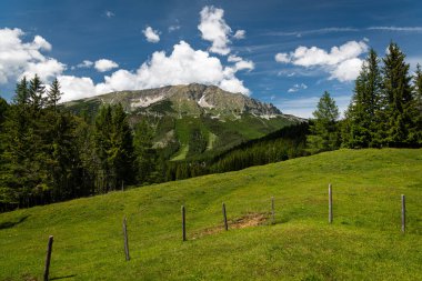 Mitterbach am Erlaufsee, Avusturya 'da arka planda yükselen dağlarla birlikte güneşli bir yaz gününde açık gökyüzü ile yakalanan geniş bir çayır..