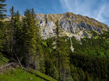 Avusturya 'nın Mariazell kentindeki dağların panoramik görüntüsü güneşli bir yaz gününde açık gökyüzü ve canlı doğal manzarayla çekilmiştir..