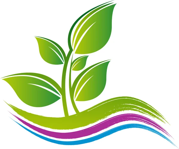 Yaprak logo tasarımı — Stok Vektör