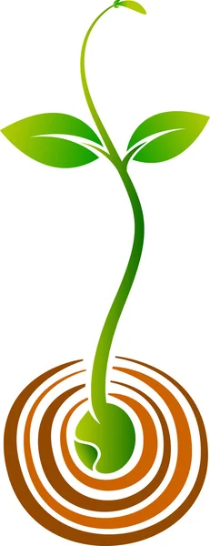 Growth plant logo design — Stock Vector