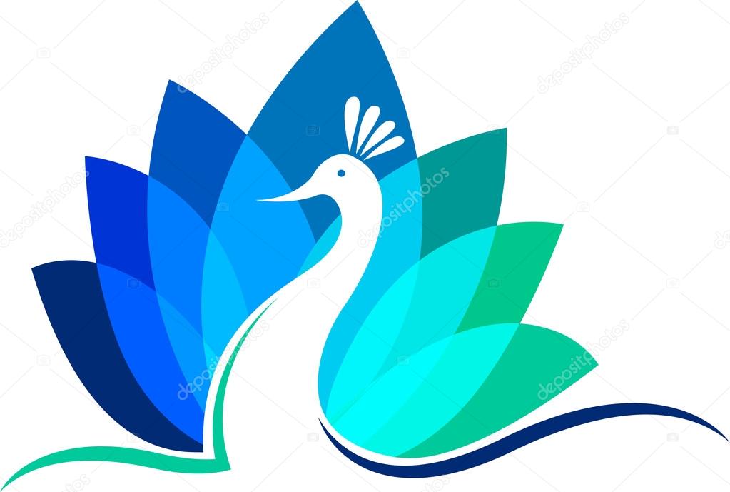 Illustration art of a peacock floral logo with isolated background