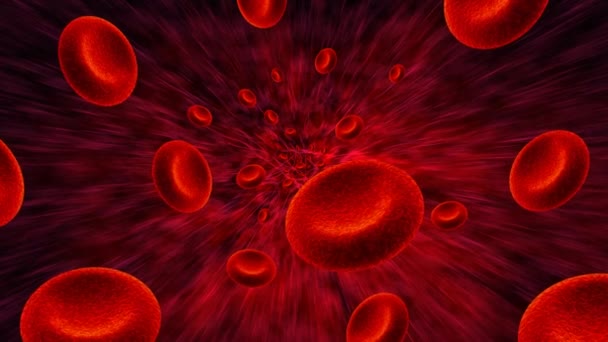 Sfondo delle cellule del sangue — Video Stock