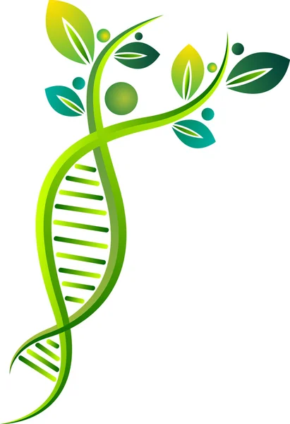 Eco DNA logo — Stock Vector
