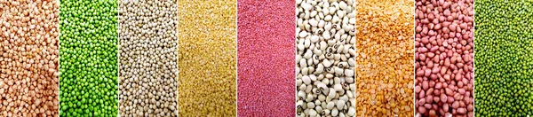 Different types of grains — Stock Photo, Image