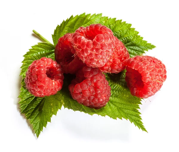 Framboises juteuses mûres — Photo