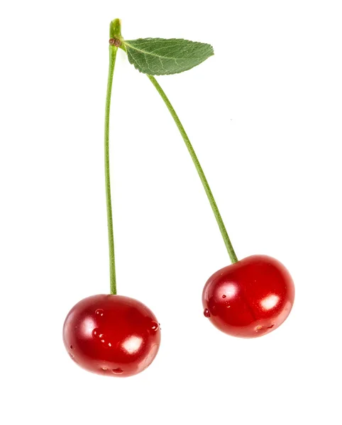 Cerises juteuses mûres — Photo