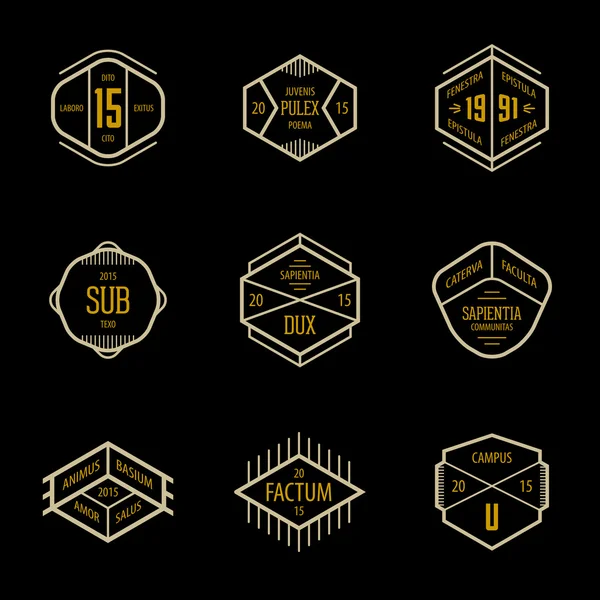 Hipster iconos de estilo — Vector de stock