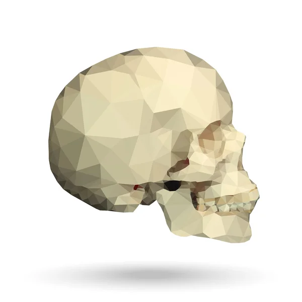 Human skull made with triangles — Stock Vector