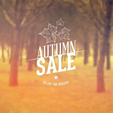 Autumn Sale typography