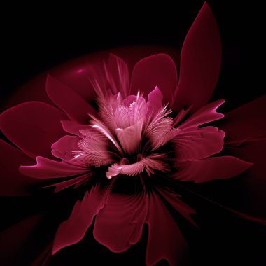 Koyu fraktal çiçek, yaratıcı grafik tasarımı için dijital sanat çalışması