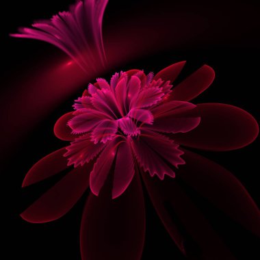 Koyu fraktal çiçek, yaratıcı grafik tasarımı için dijital sanat çalışması