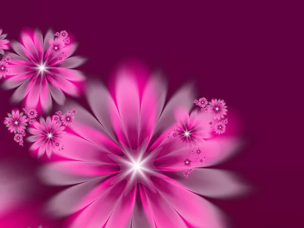 Purple fractal illustration  background with flower. Creative element for design. Fractal flower rendered by math algorithm. Digital artwork for creative graphic design.