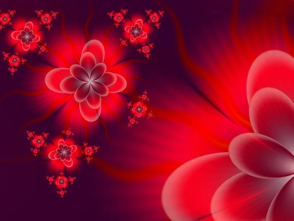 Red Fractal Image Fantasy Flowers Template Place Inserting Your Text — Stock Photo, Image