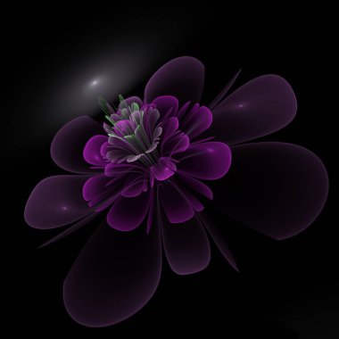 Koyu fraktal çiçek, yaratıcı grafik tasarımı için dijital sanat çalışması