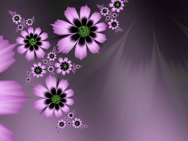 Çiçekli arka plan olarak mor fraktal çizim. Tasarım için yaratıcı bir unsur. Matematik algoritmasıyla elde edilen fraktal çiçek. Yaratıcı grafik tasarımı için dijital çizimler.