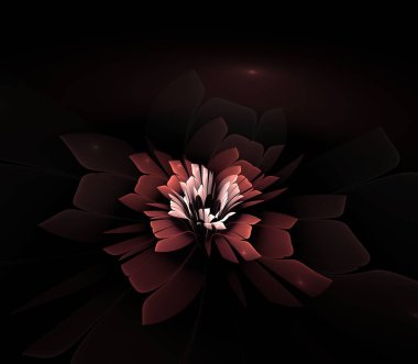 Koyu fraktal çiçek, yaratıcı grafik tasarımı için dijital sanat çalışması