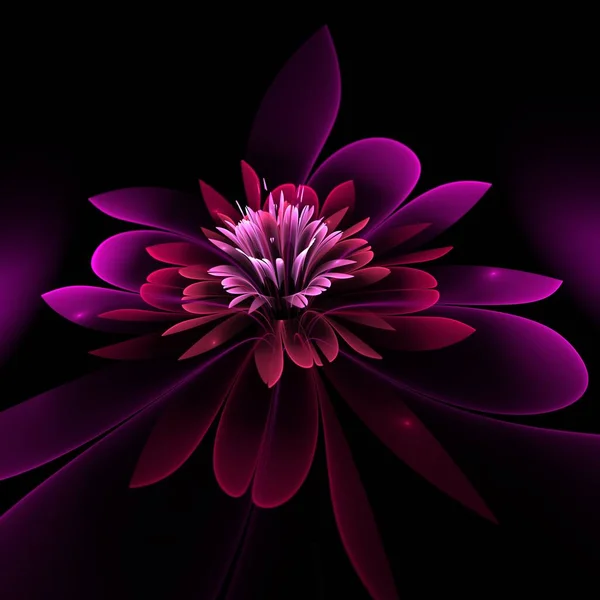 Koyu Fraktal Çiçek Yaratıcı Grafik Tasarımı Için Dijital Sanat Çalışması — Stok fotoğraf