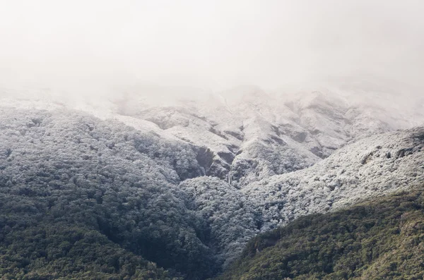 Mountaintop covered in snow — Stock Photo, Image