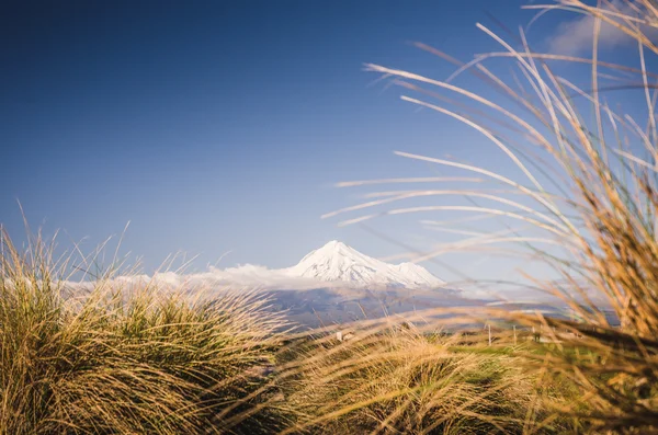 Berg Taranaki, der Fuji des Neuseeland — Stockfoto
