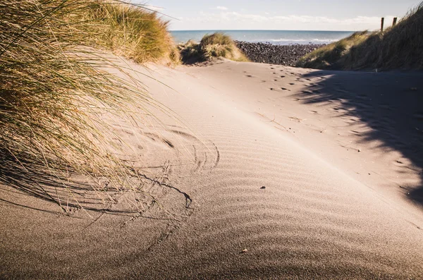 Піщана дюна на пляжі — стокове фото