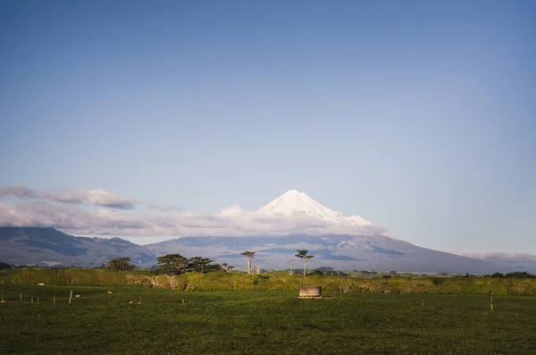 Mount Taranaki, Fuji i New Zealand - Stock-foto