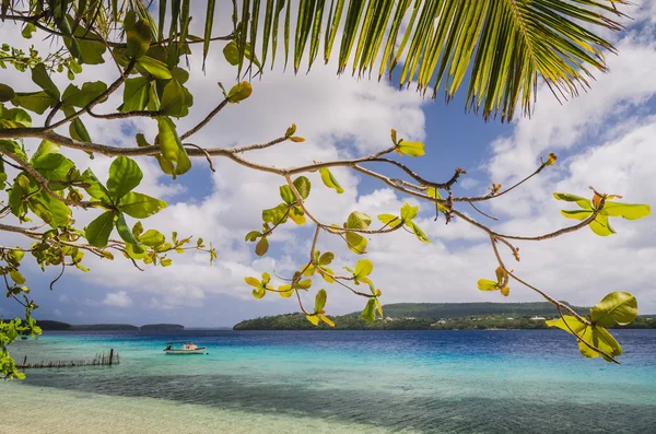 Plages de sable blanc dans le royaume des Tonga — Photo