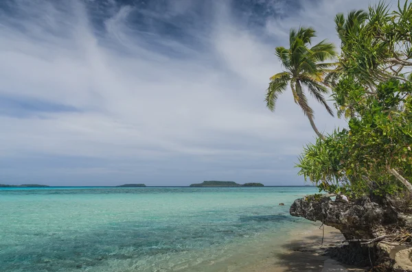Spiagge di sabbia bianca nel regno di Tonga — Foto Stock