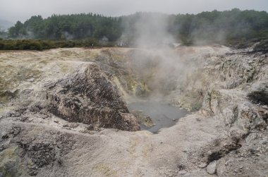 Volkanik alan yakın Rotorua, Yeni Zelanda