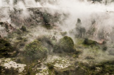 Volkanik alan yakın Rotorua, Yeni Zelanda