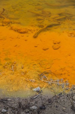 Yeni Zelanda volkanik göl inanılmaz renkler