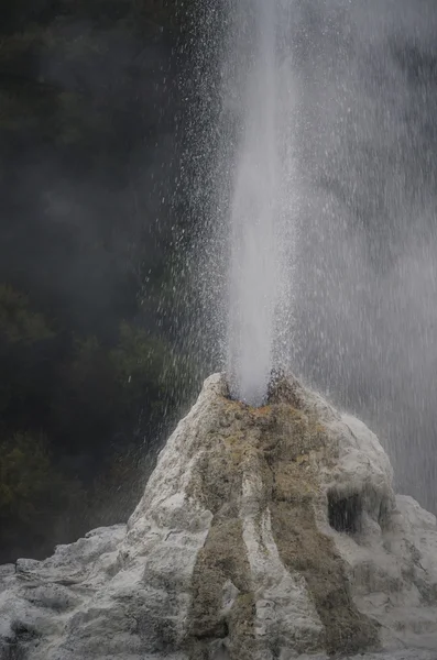 Κυρία knox geyser στη Νέα Ζηλανδία — Φωτογραφία Αρχείου