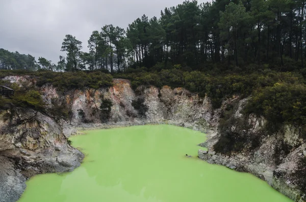 Lago todo verde de la contaminación — Foto de Stock