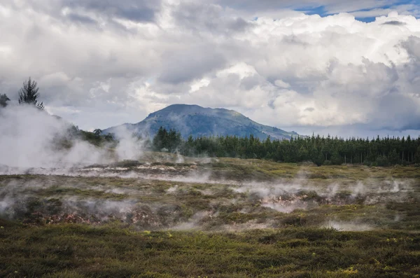 Zona volcánica cerca de Rotorua, Nueva Zelanda — Foto de Stock