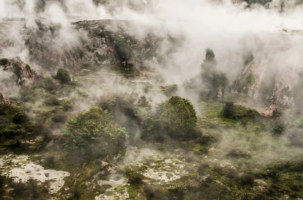 Volcanic area near Rotorua, NZ — Stock Photo, Image