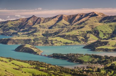 New Zealand pristine scenery clipart