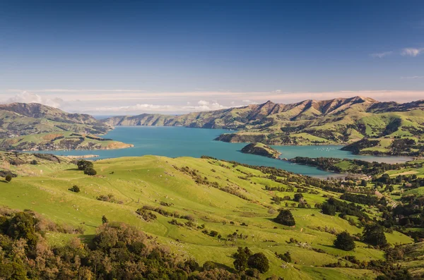 New Zealand pristine scenery — Stock Photo, Image