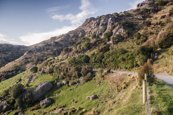 Paisaje prístino de Nueva Zelanda — Foto de Stock