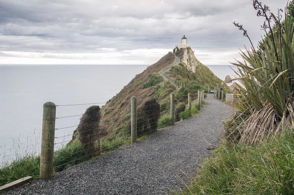 Nugget Point, Новая Зеландия — стоковое фото