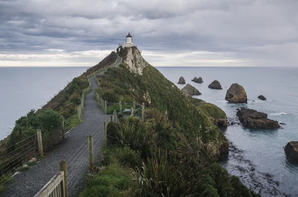 Nugget Point, Новая Зеландия — стоковое фото