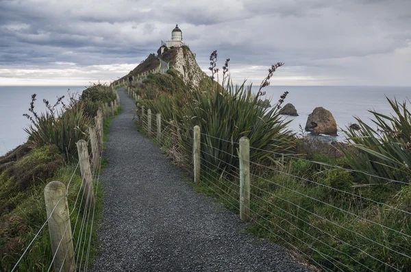 Nugget Point, Новая Зеландия — стоковое фото