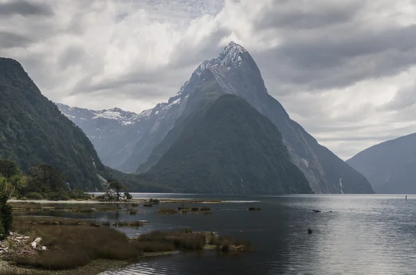 Milford Sound, New Zealand, on a cloudy day — Stock Photo, Image