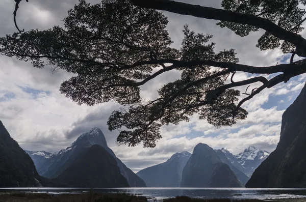 Milford Sound, Nový Zéland, na zamračený den — Stock fotografie